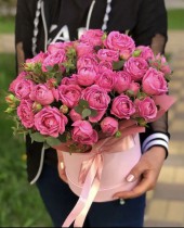 Spray roses Candy in the box